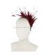 COIFFURE DE PLUMES COQ/OISEAUX/OCA "SOLER"