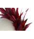 COIFFURE DE PLUMES COQ/OISEAUX/OCA "SOLER"