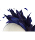 COIFFURE DE PLUMES COQ/OISEAUX/OCA "SOLER"