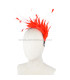 COIFFURE DE PLUMES COQ/OISEAUX/OCA "SOLER"