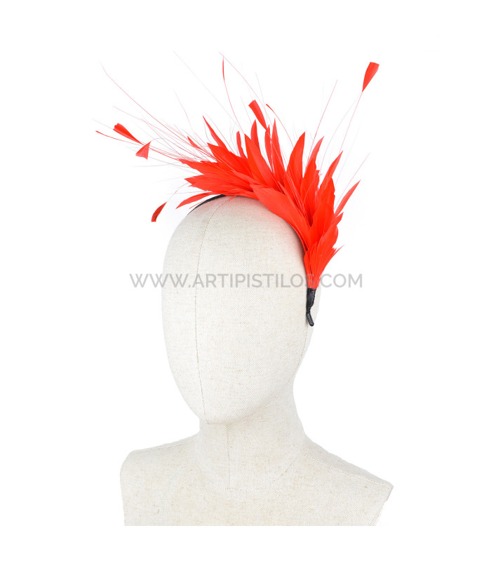 COIFFURE DE PLUMES COQ/OISEAUX/OCA "SOLER"