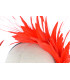 COIFFURE DE PLUMES COQ/OISEAUX/OCA "SOLER"