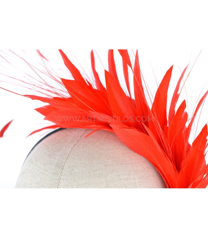 COIFFURE DE PLUMES COQ/OISEAUX/OCA "SOLER"