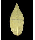 FEUILLE METAL "MATILDE"
