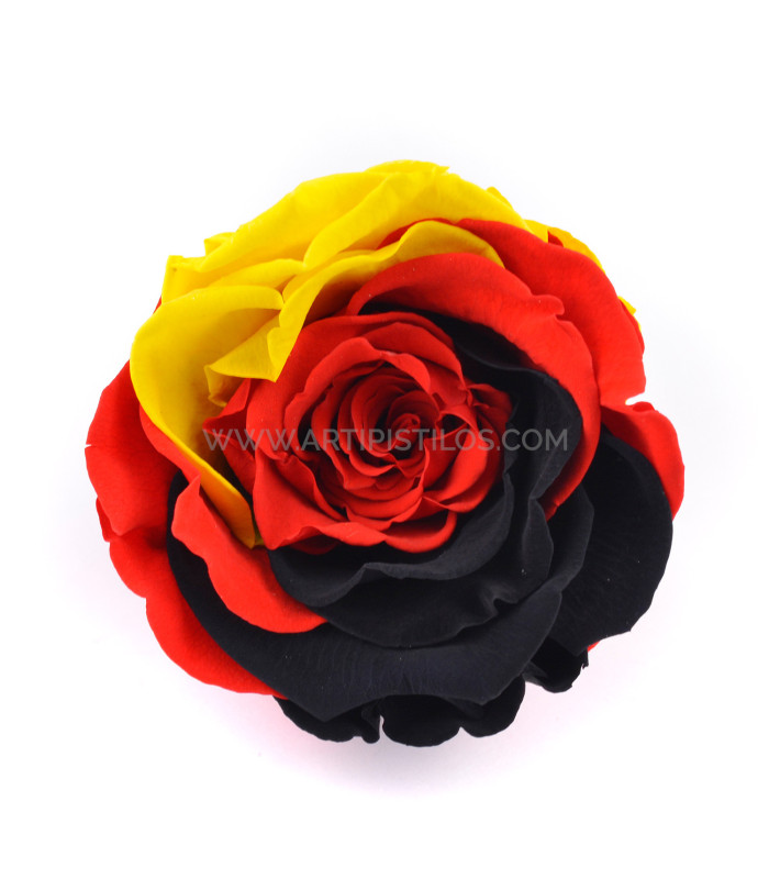 STABILISÉ ROSE "ALLEMAGNE"