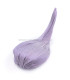 COIFFURE DE SINAMAY "BLETCHLEY"