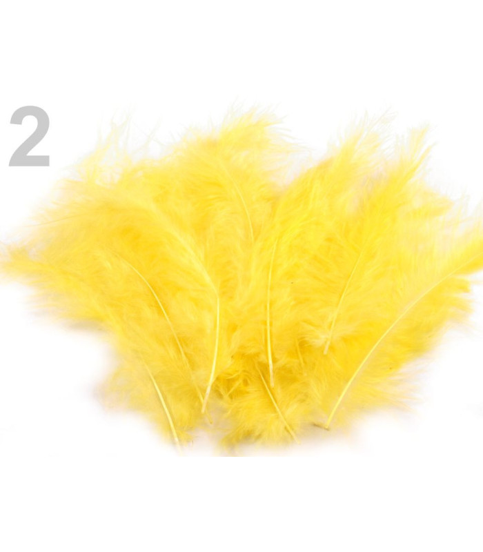SAC PLUMES D´AUTRUCHE 12-17 CMS.