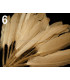SAC 20 PLUMES DE CANARD 9-14 CMS.