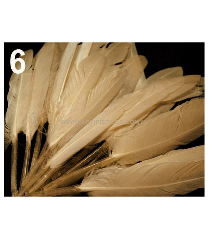 SAC 20 PLUMES DE CANARD 9-14 CMS.