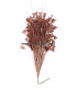 ASSEMBLAGE DE PLUMES 30 X 15 cm