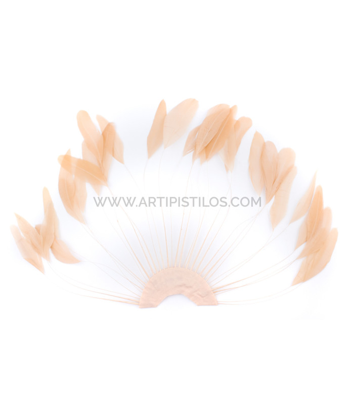 plumes de coq 1ère qualité.