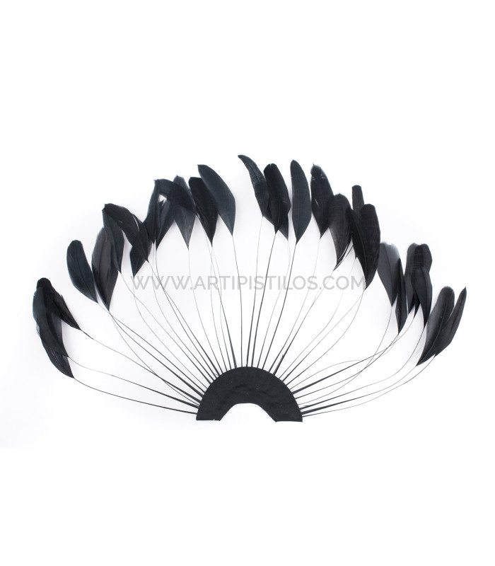 plumes de coq 1ère qualité.