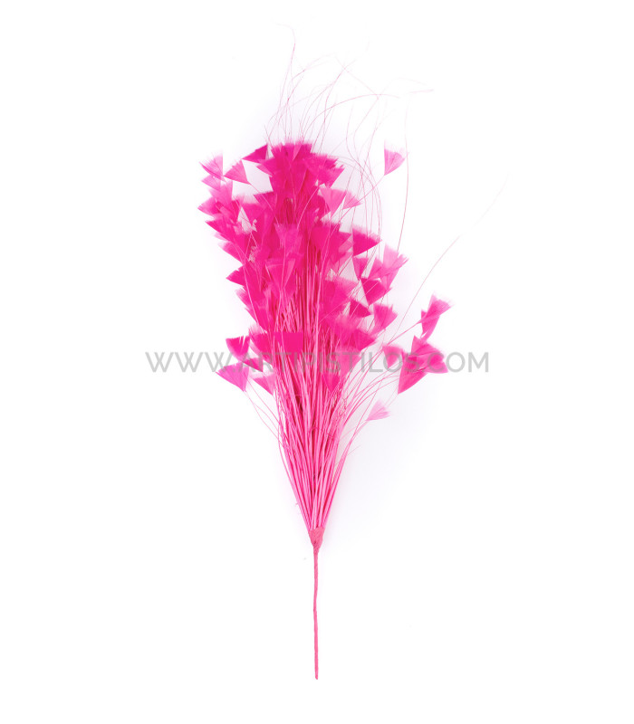 ASSEMBLAGE DE PLUMES 30 X 15 cm