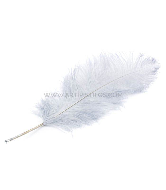 PLUME D´AUTRUCHE PREMIÈRE QUALITÉ 50-55 CMS.