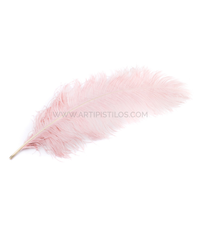 PLUME D´AUTRUCHE PREMIÈRE QUALITÉ 50-55 CMS.