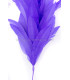 MONTAGE DE PLUMES COQ/AUTRUCHE/OIE