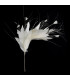 MONTAGE DE PLUMES COQ/AUTRUCHE/OIE