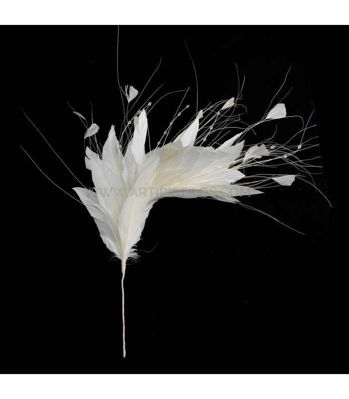 MONTAGE DE PLUMES COQ/AUTRUCHE/OIE