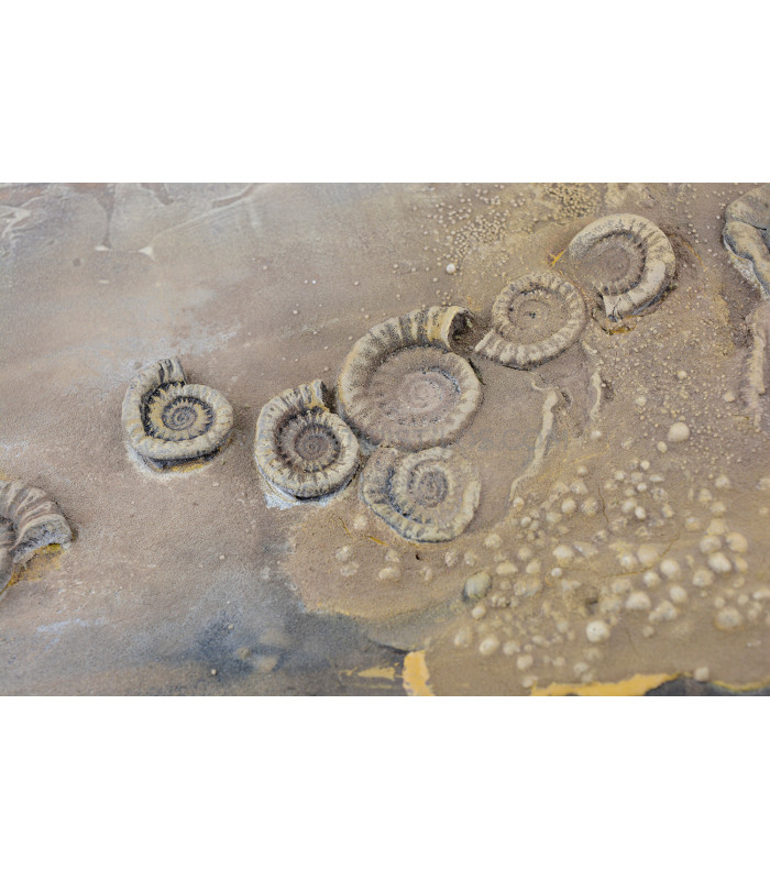 STONE ART - POWERTEX - NIVEAU 2 (03/08/2019)