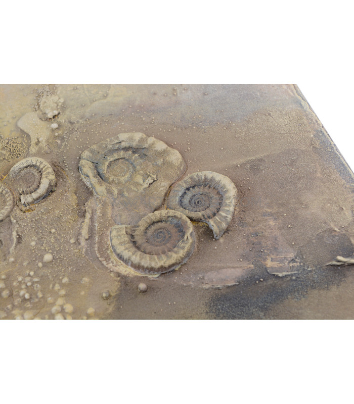 STONE ART - POWERTEX - NIVEAU 2 (03/08/2019)