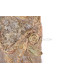 STONE ART - POWERTEX - NIVEAU 2 (03/08/2019)