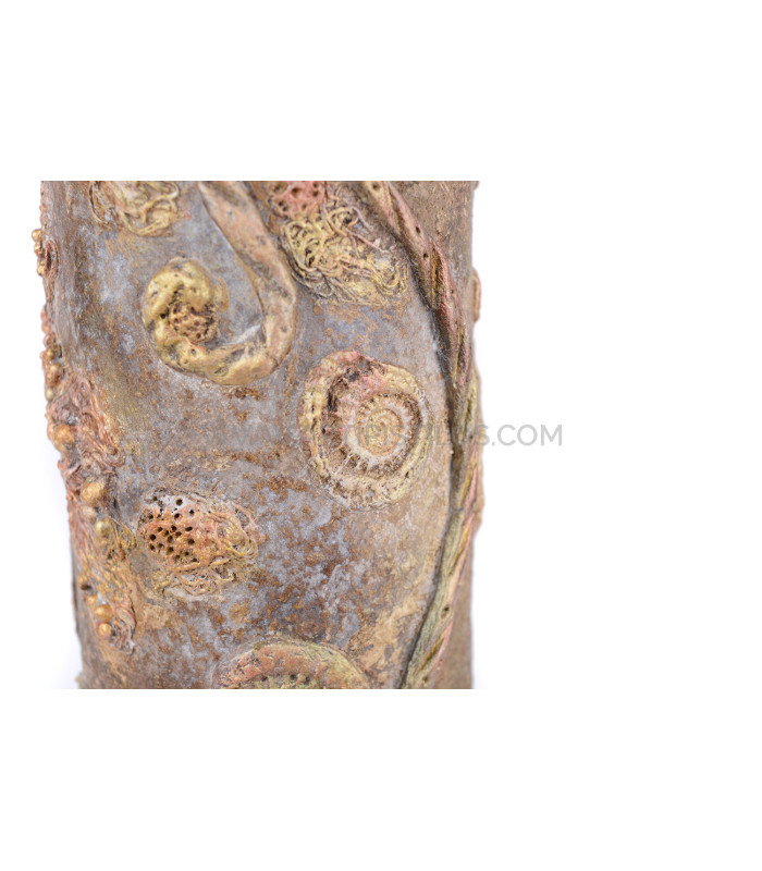 STONE ART - POWERTEX - NIVEAU 2 (03/08/2019)