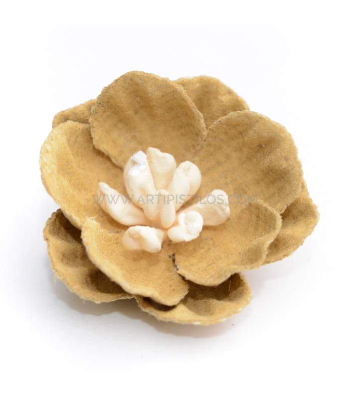 FLEUR DE PEAU "LEYRE"