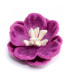 FLEUR DE PEAU "LEYRE"