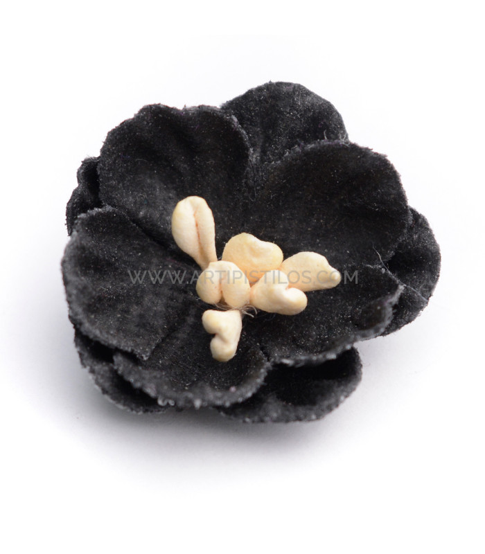 FLEUR DE PEAU "LEYRE"