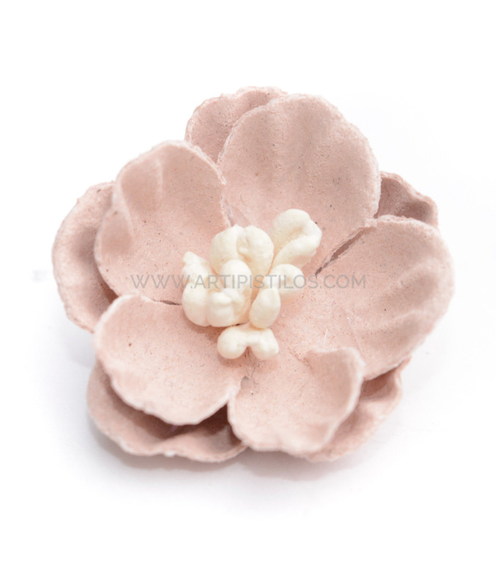 FLEUR DE PEAU "LEYRE"