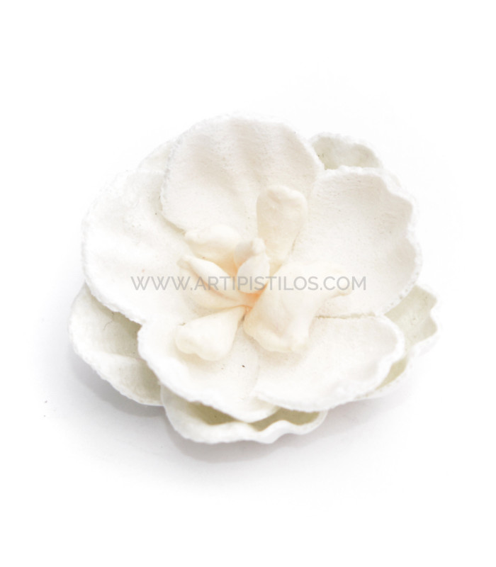 FLEUR DE PEAU "LEYRE"