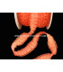 DENTELLE FIL CROCHET