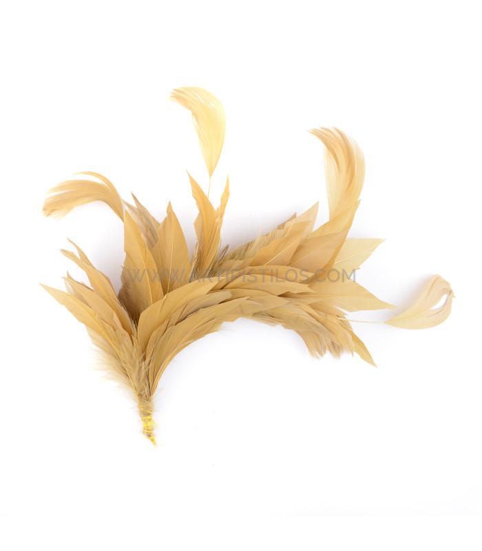 MONTAGE DE PLUMES DE CANARD ET ANTENNE COQ