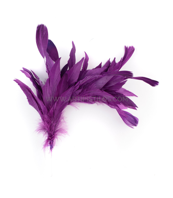 MONTAGE DE PLUMES DE CANARD ET ANTENNE COQ