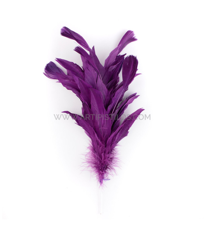 MONTAGE DE PLUMES DE CANARD ET ANTENNE COQ