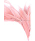 MONTAGE DE PLUMES DE CANARD ET ANTENNE COQ