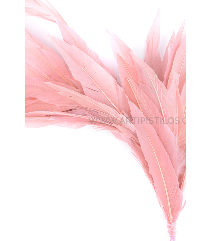 MONTAGE DE PLUMES DE CANARD ET ANTENNE COQ