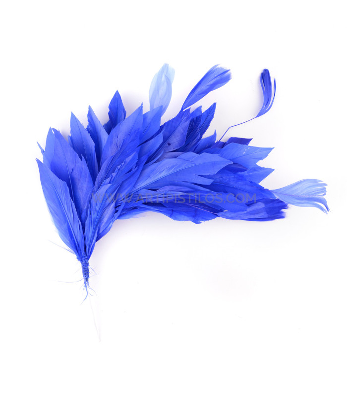 MONTAGE DE PLUMES DE CANARD ET ANTENNE COQ