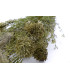 TISSU DE BUISSON "LAYLA"