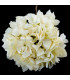 TISSU HORTENSIA "ANAIS"