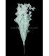 ASSEMBLAGE DE PLUMES DE COQ