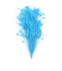 ASSEMBLAGE DE PLUMES DE COQ