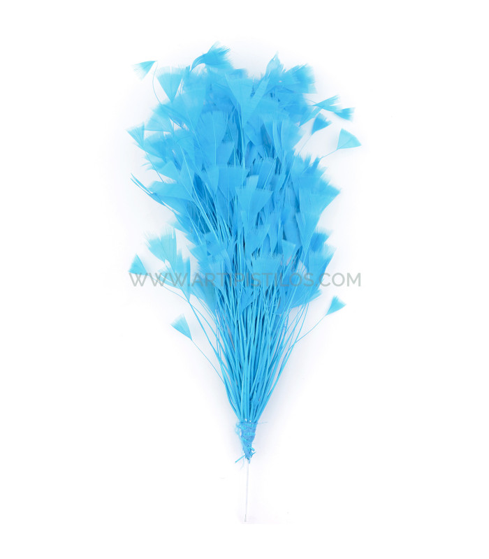 ASSEMBLAGE DE PLUMES DE COQ