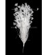 ASSEMBLAGE DE PLUMES DE COQ