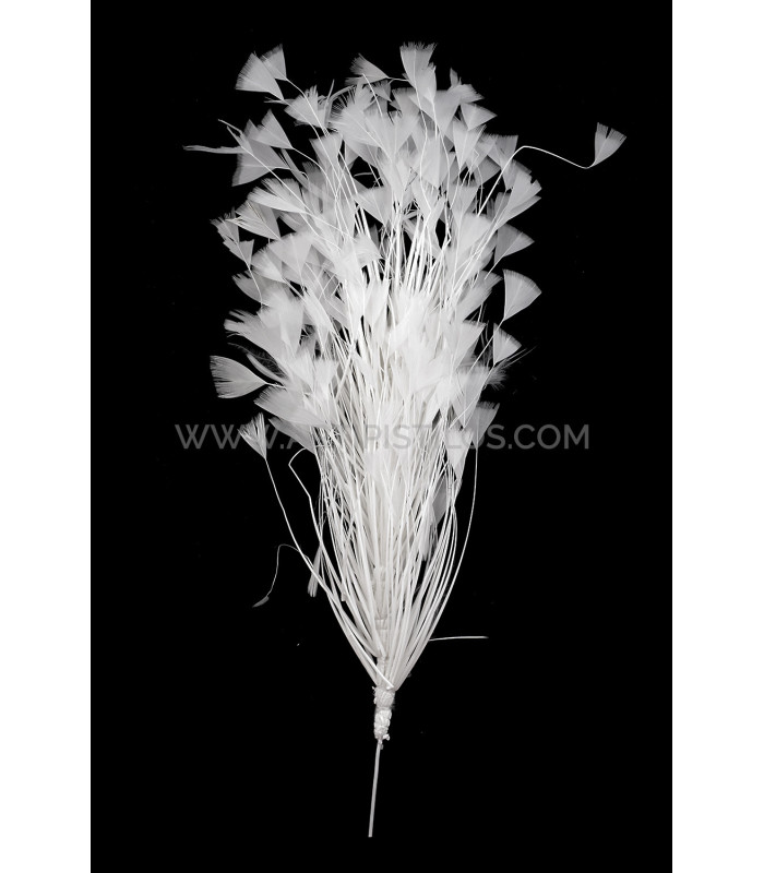 ASSEMBLAGE DE PLUMES DE COQ