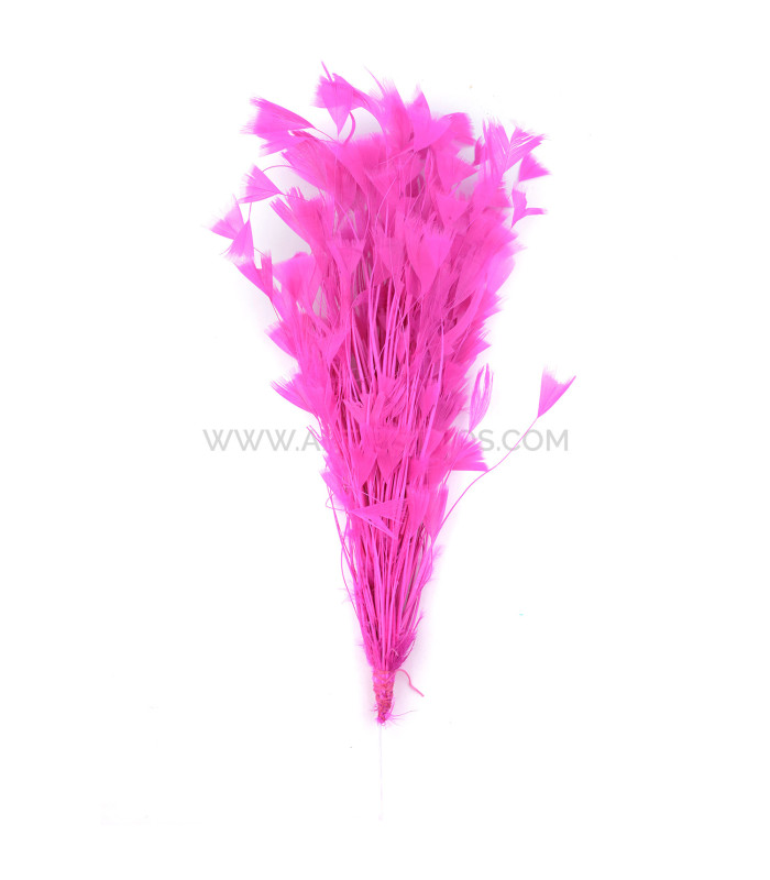 ASSEMBLAGE DE PLUMES DE COQ