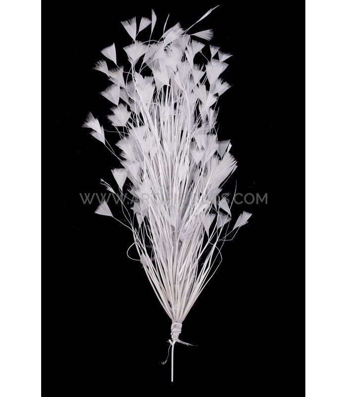 ASSEMBLAGE DE PLUMES DE COQ