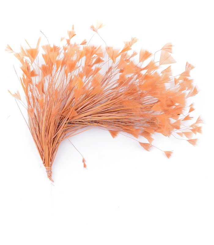 ASSEMBLAGE DE PLUMES DE COQ