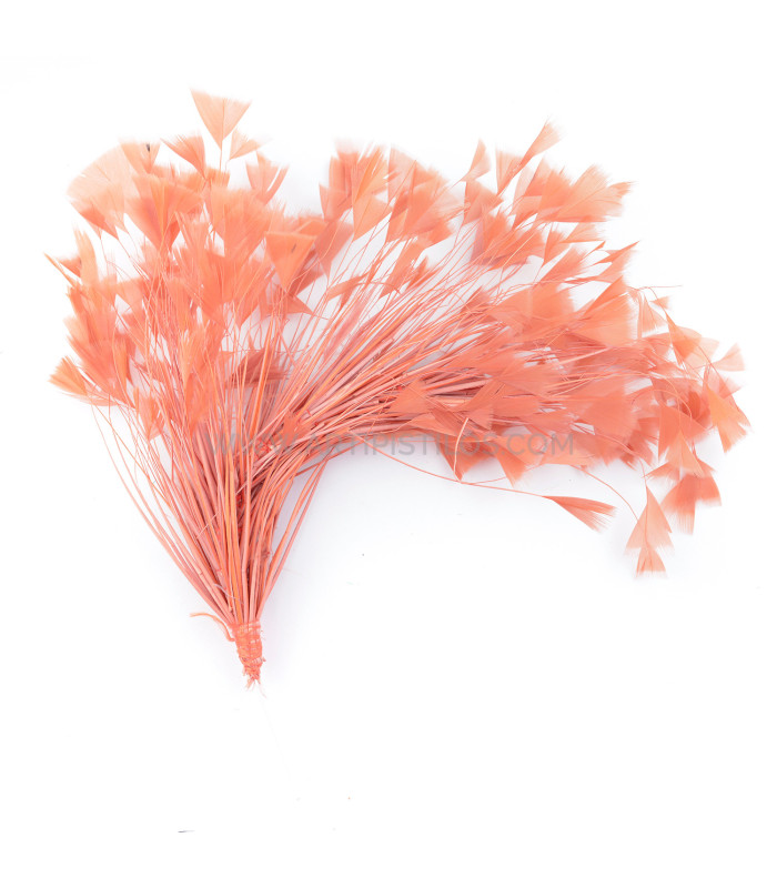 ASSEMBLAGE DE PLUMES DE COQ