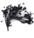 ASSEMBLAGE DE PLUMES DE COQ